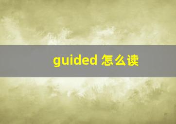 guided 怎么读